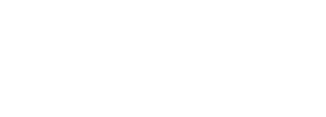 FlyerOn Logo
